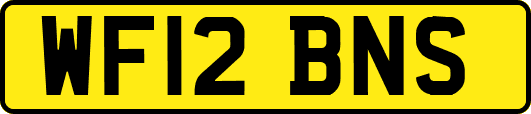 WF12BNS