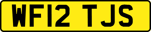 WF12TJS