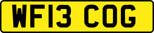 WF13COG