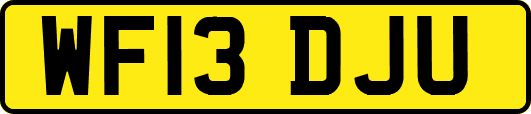 WF13DJU