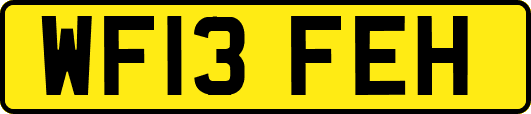 WF13FEH