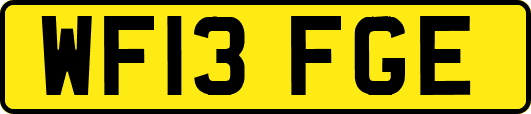 WF13FGE