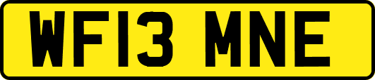 WF13MNE