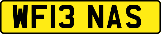 WF13NAS