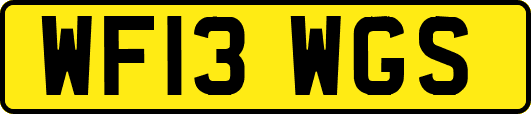 WF13WGS