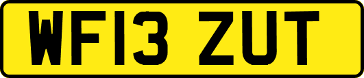 WF13ZUT