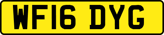 WF16DYG