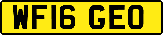 WF16GEO