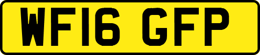 WF16GFP