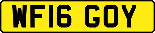 WF16GOY