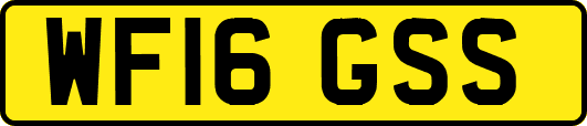 WF16GSS