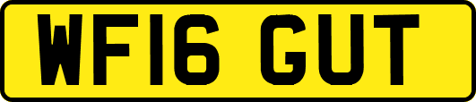 WF16GUT