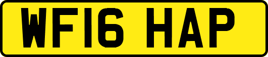 WF16HAP