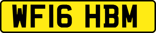 WF16HBM