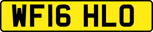 WF16HLO