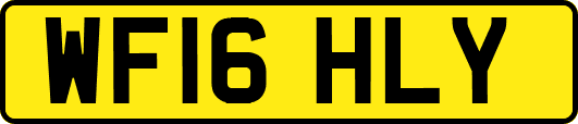 WF16HLY