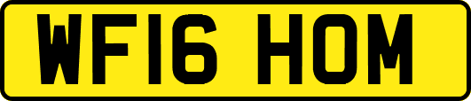 WF16HOM