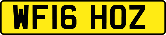 WF16HOZ