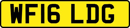 WF16LDG