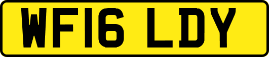 WF16LDY