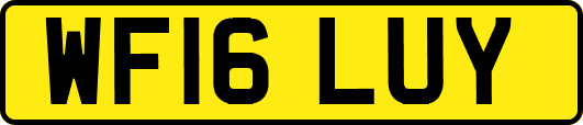 WF16LUY