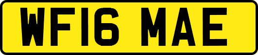 WF16MAE