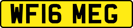 WF16MEG