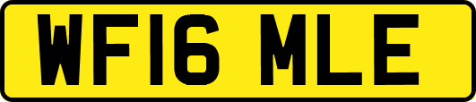 WF16MLE