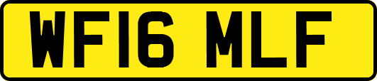 WF16MLF