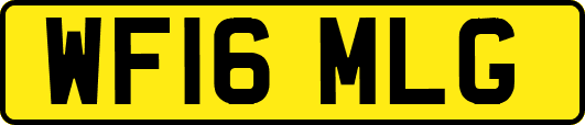 WF16MLG