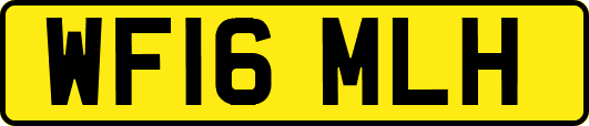 WF16MLH