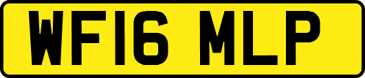 WF16MLP
