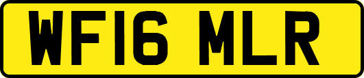 WF16MLR