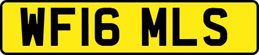 WF16MLS