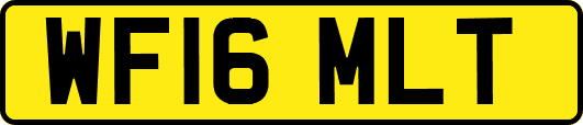 WF16MLT