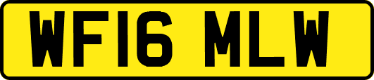 WF16MLW