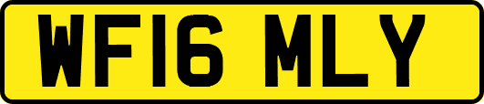 WF16MLY