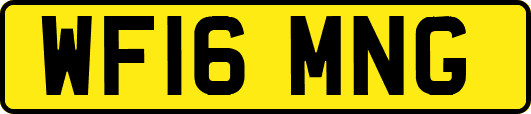 WF16MNG