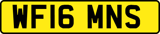 WF16MNS