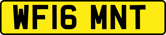 WF16MNT