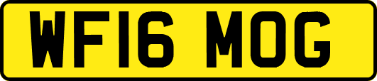 WF16MOG