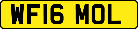 WF16MOL