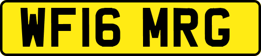 WF16MRG