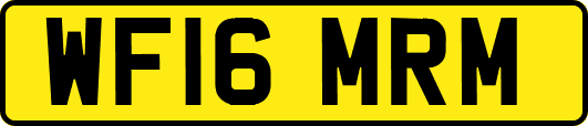 WF16MRM