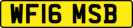 WF16MSB
