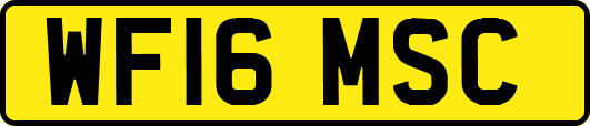WF16MSC