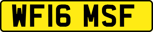 WF16MSF