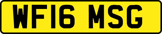 WF16MSG