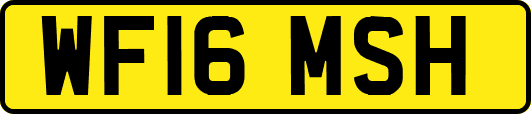 WF16MSH