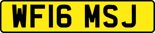 WF16MSJ